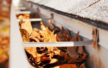 Brookville gutter cleaning companies