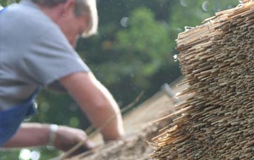 professional Brookville thatchers