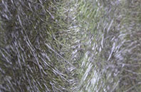 Brookville fibreglass roof work